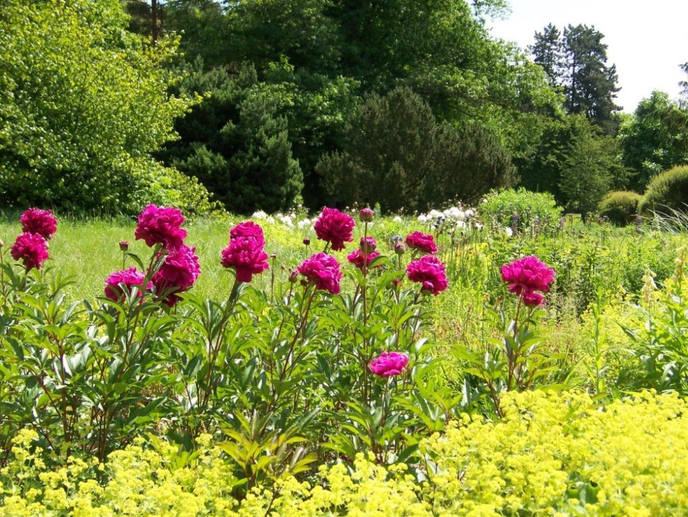 Vallée des fleurs Vallée des fleurs