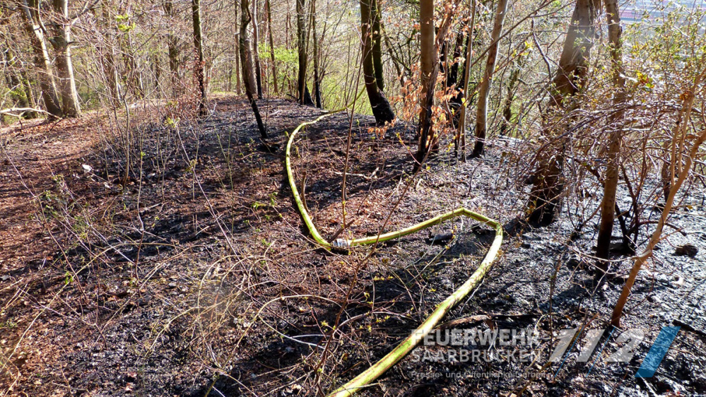 Waldbrand Höhe Autobahnzubringer A623 Waldbrand Höhe Autobahnzubringer A623