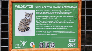 Informationsschild zur Wildkatze im Wildpark Image