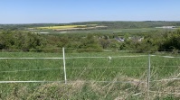 Inmitten von Feldern und Wiesen liegt der Wickersberger Hof in Ensheim