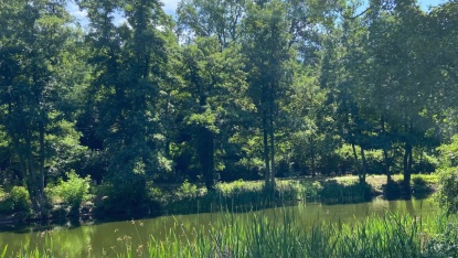 Tabaksmühlenweiher im Almet