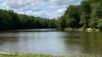 Netzbachweiher
