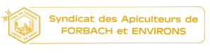 gelbes Logo auf weißem Hintergrund mit Bienenwabe links 