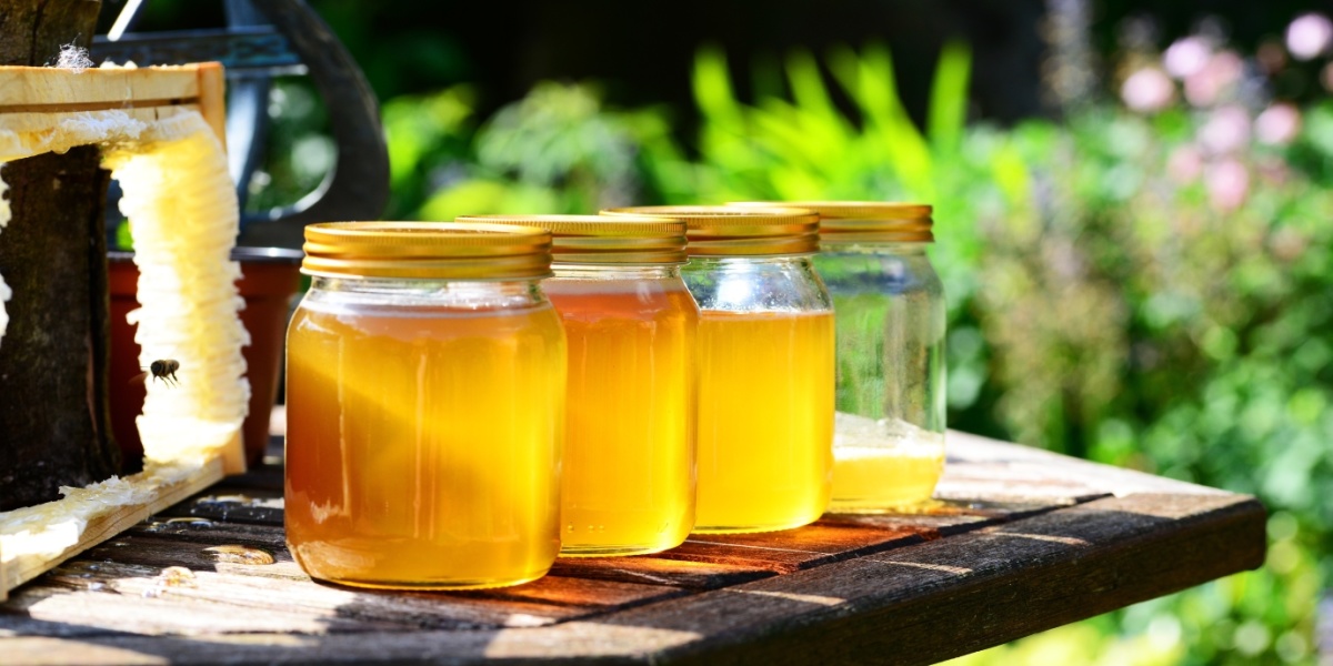 Honig im Glas vor einer Bienenwabe